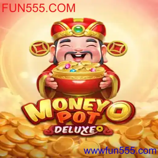 MoneyPotDELUXE